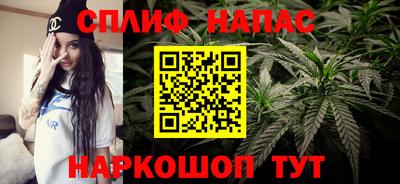 мяу мяу мука Усть-Джегута