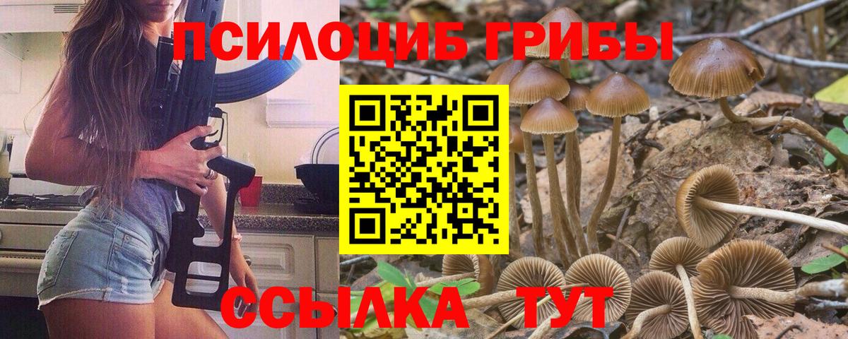 Белореченск  Галлюциногенные грибы GOLDEN TEACHER  Псилоцибиновые грибы мухоморы  Вход с VPN 